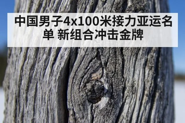 中国男子4x100米接力亚运名单 新组合冲击金牌